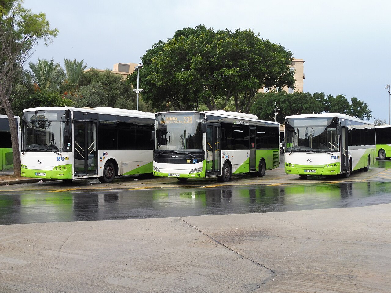 Autobuses de Malta Public Transport en la estación